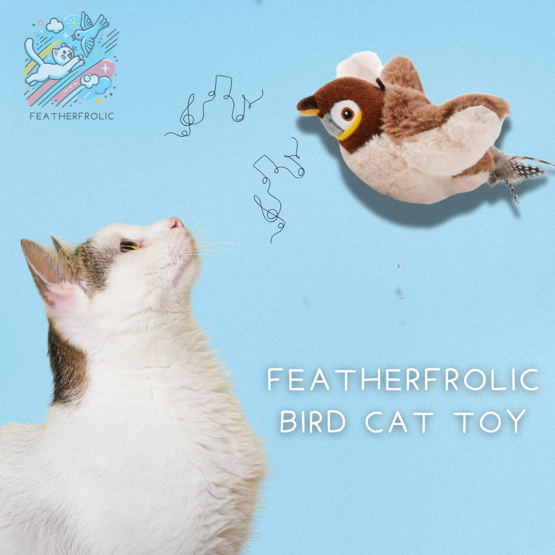 FeatherFrolic Bird Cat Toy